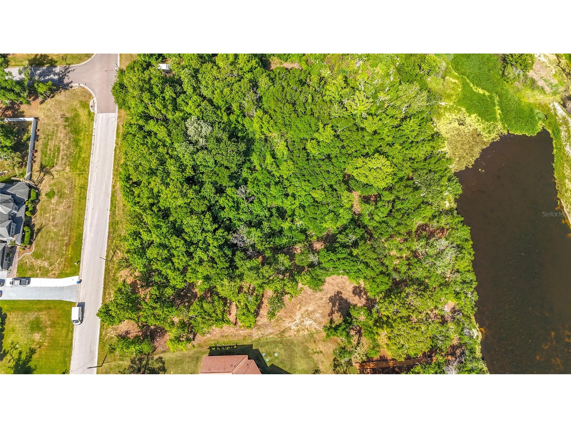 Lot 19 Lake Hills Dr. Riverview FL 33569 S5149016 image3