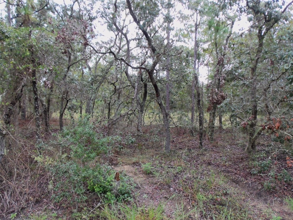 Lot 19 Nw Redwood Dr Dunnellon FL 34431 OM645278 image1