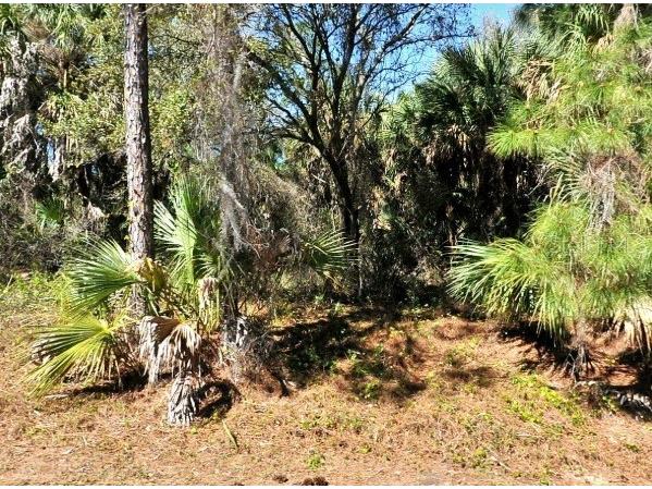 Lot 20 Blk 1749 34th Add To Port Charlotte North Port FL 34288 TB8500724 image2