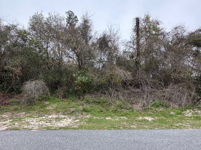 Lot 22 Sw 43rd Cir Ocala FL 34473 OM675060 image1