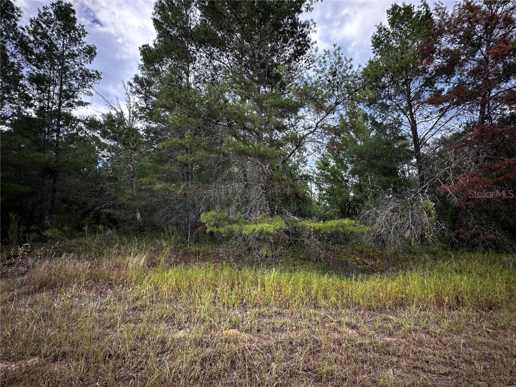 Lot 25 Fisher Run Ocklawaha FL 32179 O6347039 image1
