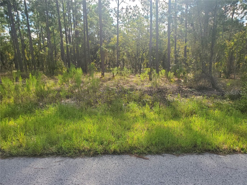 Lot 25 Sw Wisteria Ct Dunnellon FL 34431 OM645468 image1