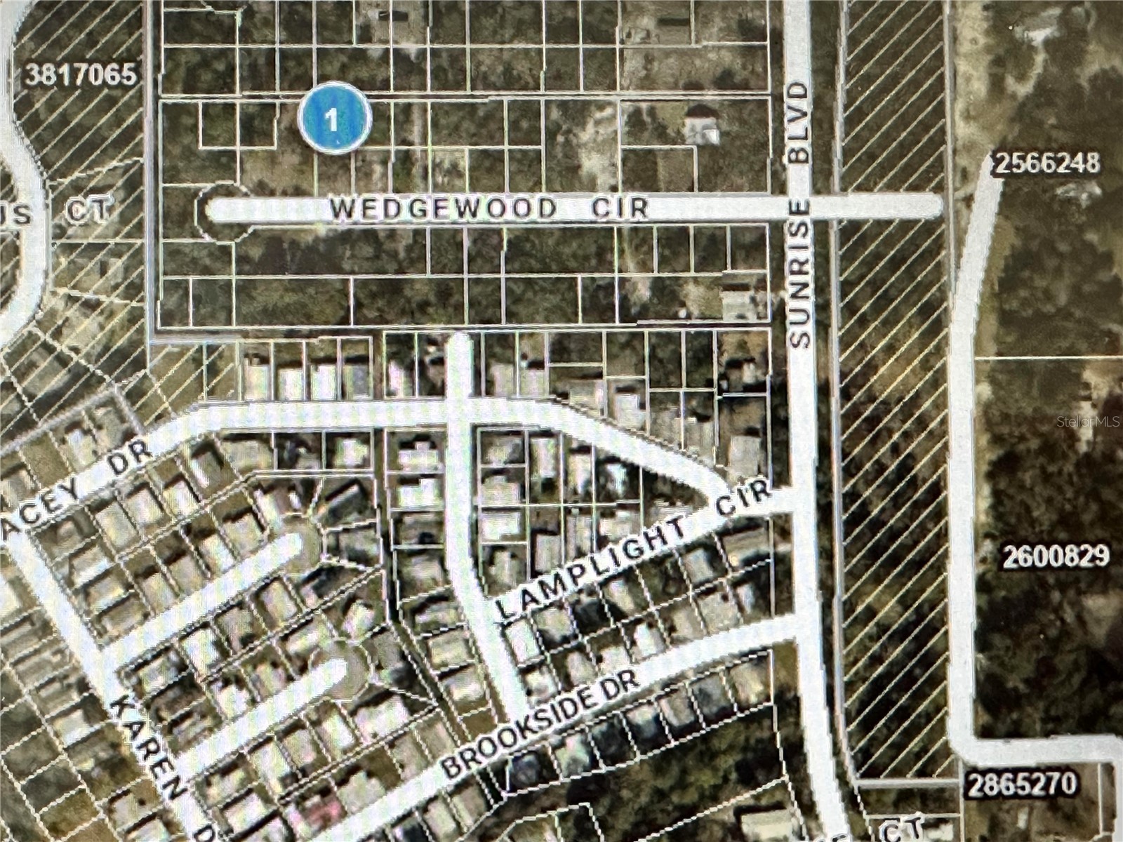 Lot 261 Brookside Cir Mount Dora FL 32757 G5110710 image1