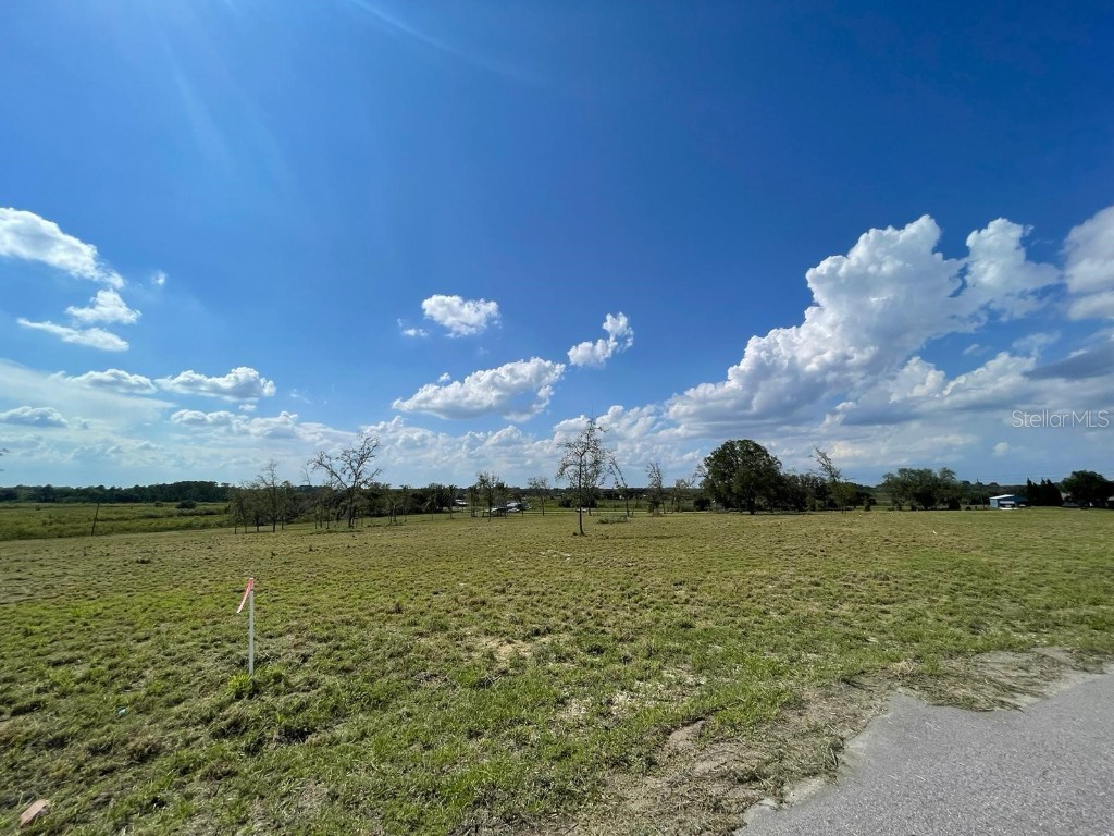 Lot 3 Mercado Court Clermont FL 34711 O6285060 image7
