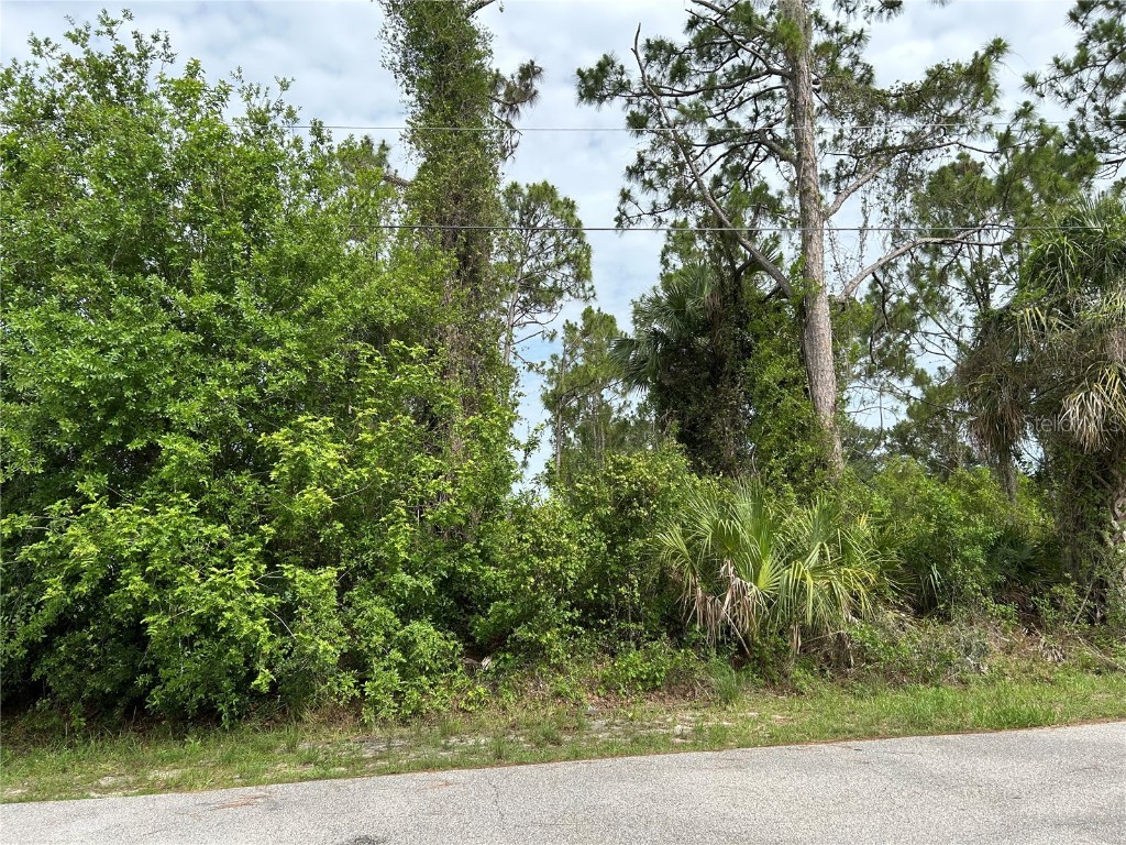 Lot 3 Zuyder Terrace North Port FL 34286 D6142613 image1