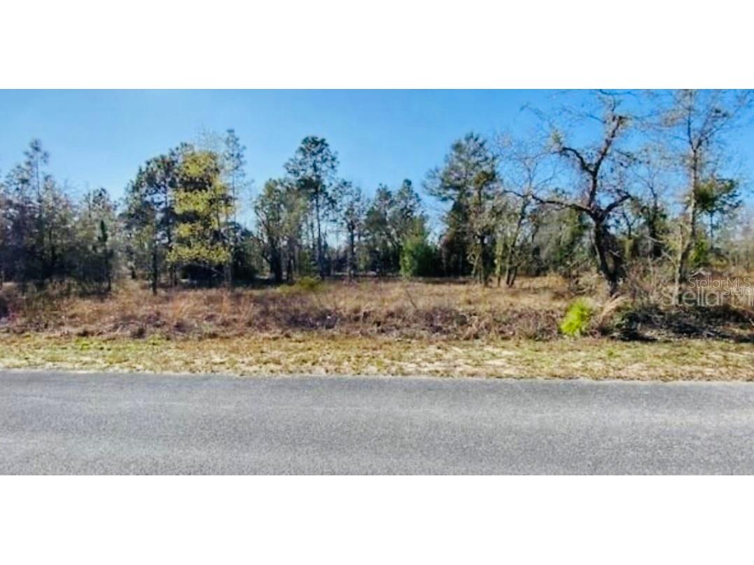 Lot 35 Banyan Ln Dunnellon FL 34431 U8221934 image1