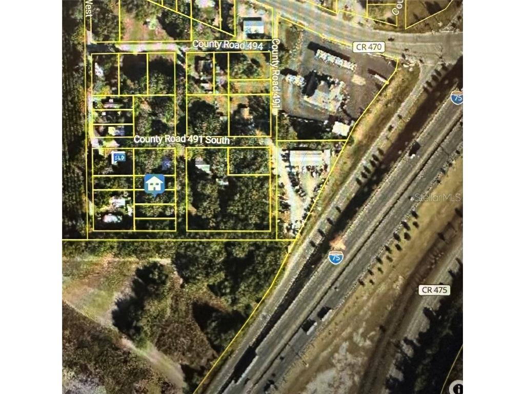 Lot #4 Lake Panasoffkee FL 33538 O6258053 image3