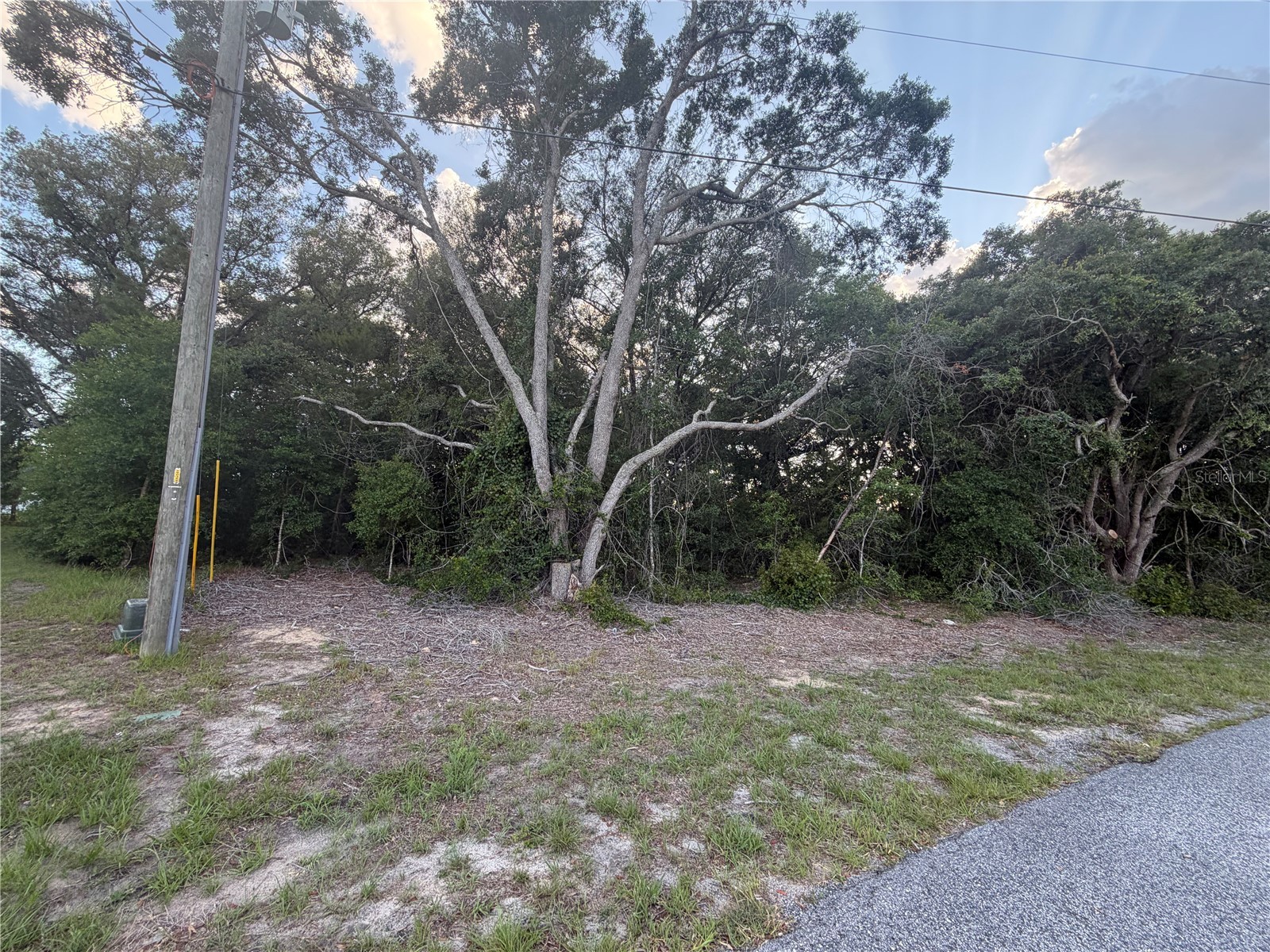 Lot 4 Ocala FL 34473 TB8510385 image1