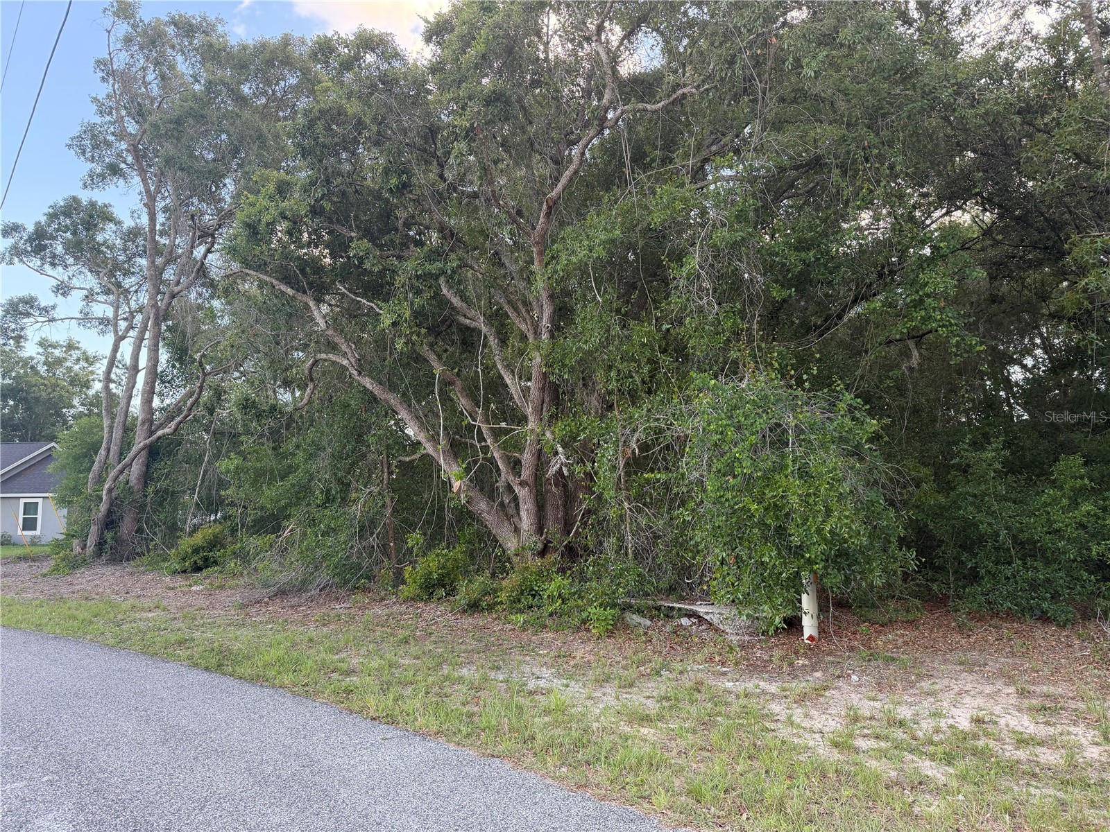 Lot 4 Ocala FL 34473 TB8510385 image2