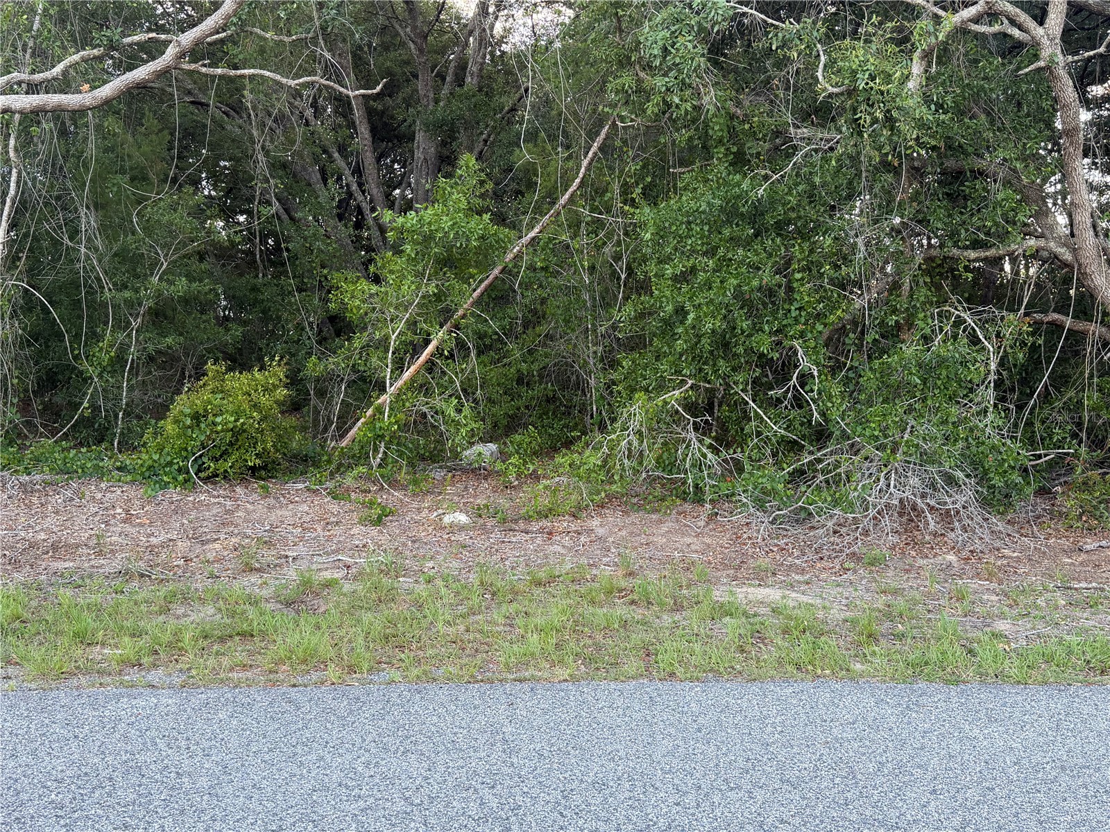 Lot 4 Ocala FL 34473 TB8510385 image4