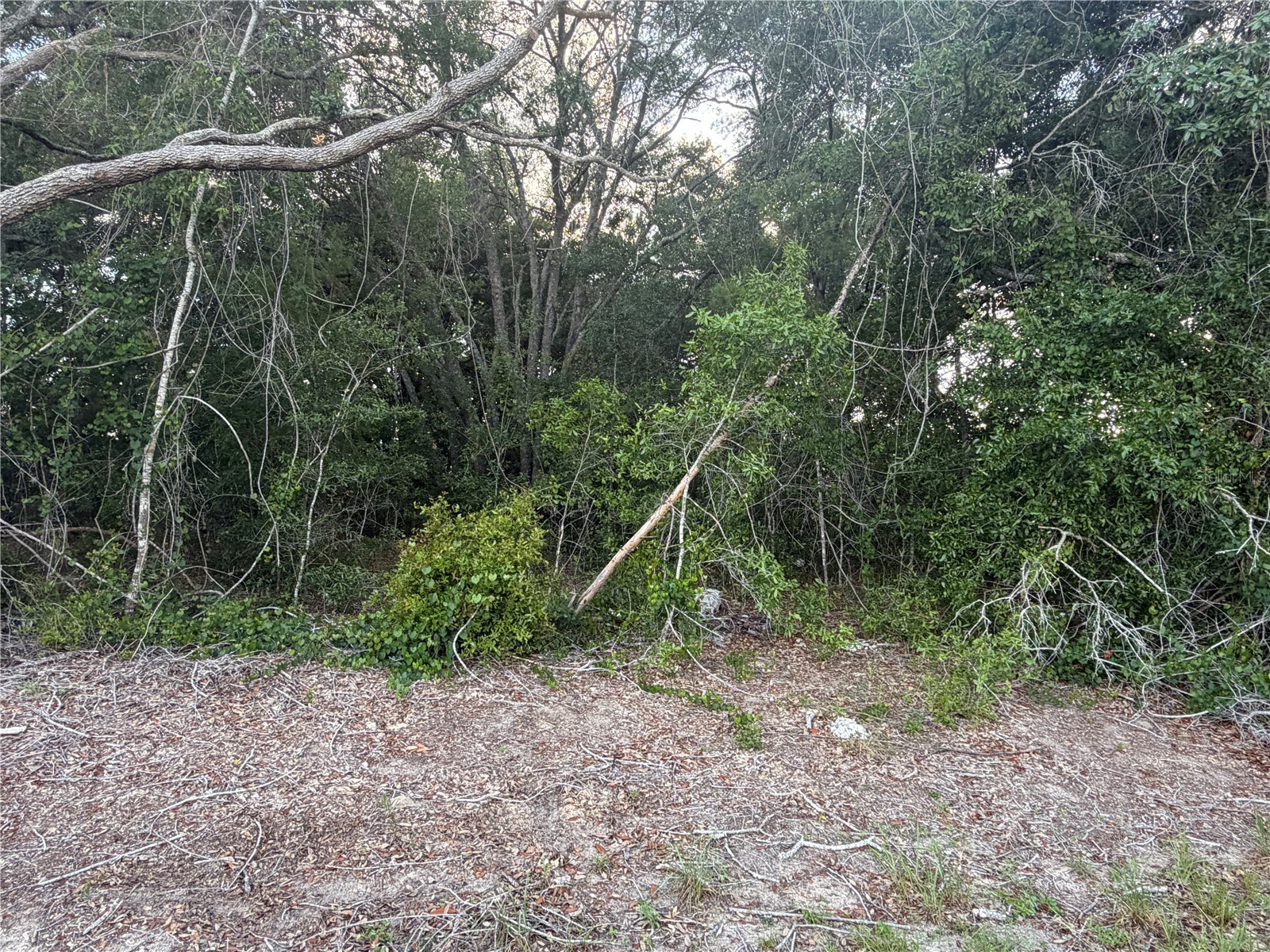 Lot 4 Ocala FL 34473 TB8510385 image5