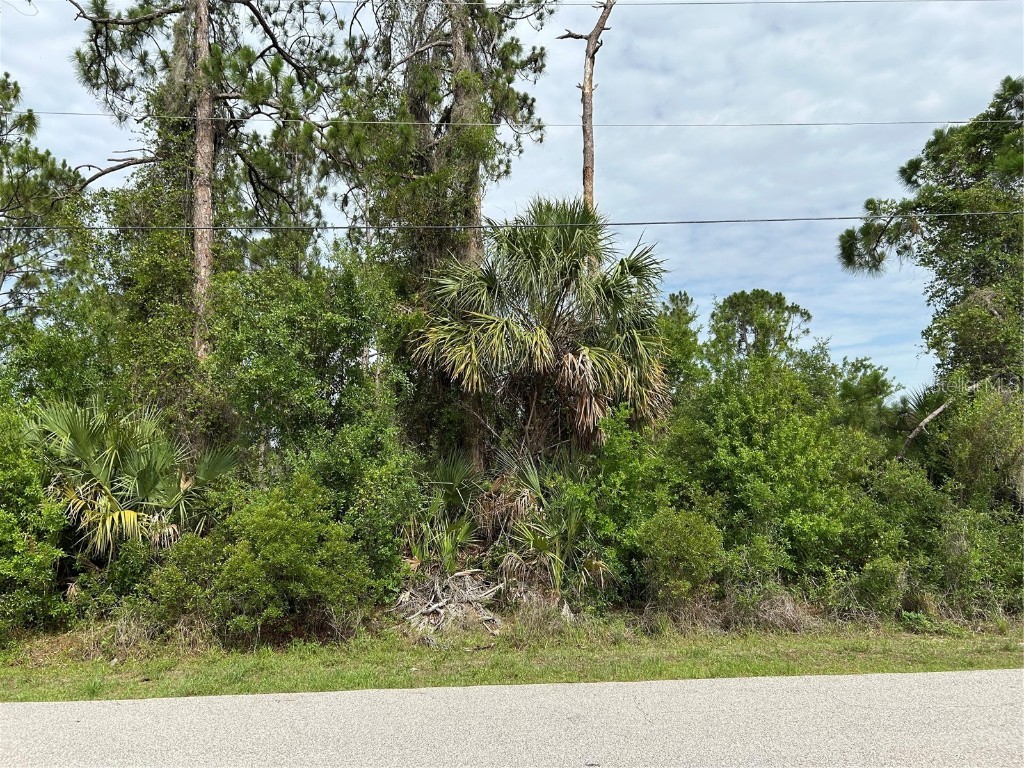 Lot 4 Zuyder Terrace North Port FL 34286 D6142614 image1