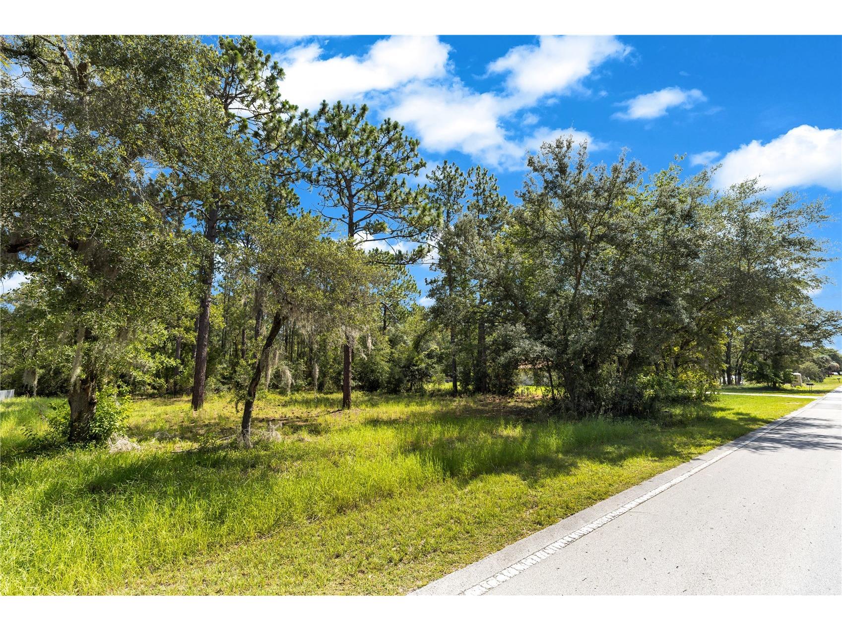 Lot 40 Sw Marine Blvd Dunnellon FL 34431 V4950058 image2
