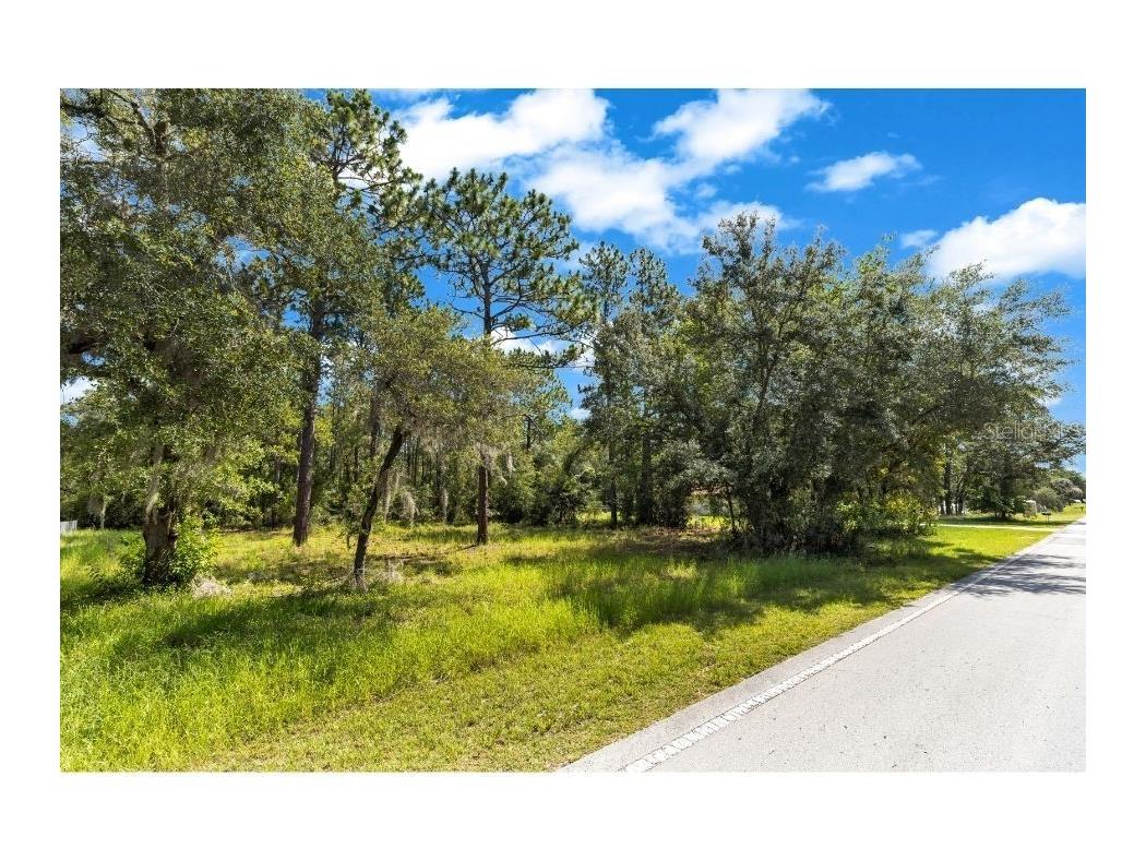 Lot 40 Sw Marine Blvd Dunnellon FL 34431 V4950058 image9