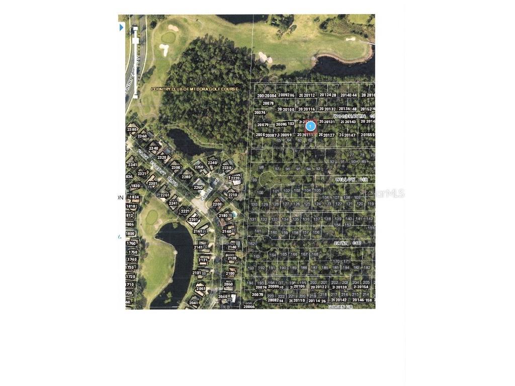Lot 41 Chase Court Mount Dora FL 32757 G5063887 image1