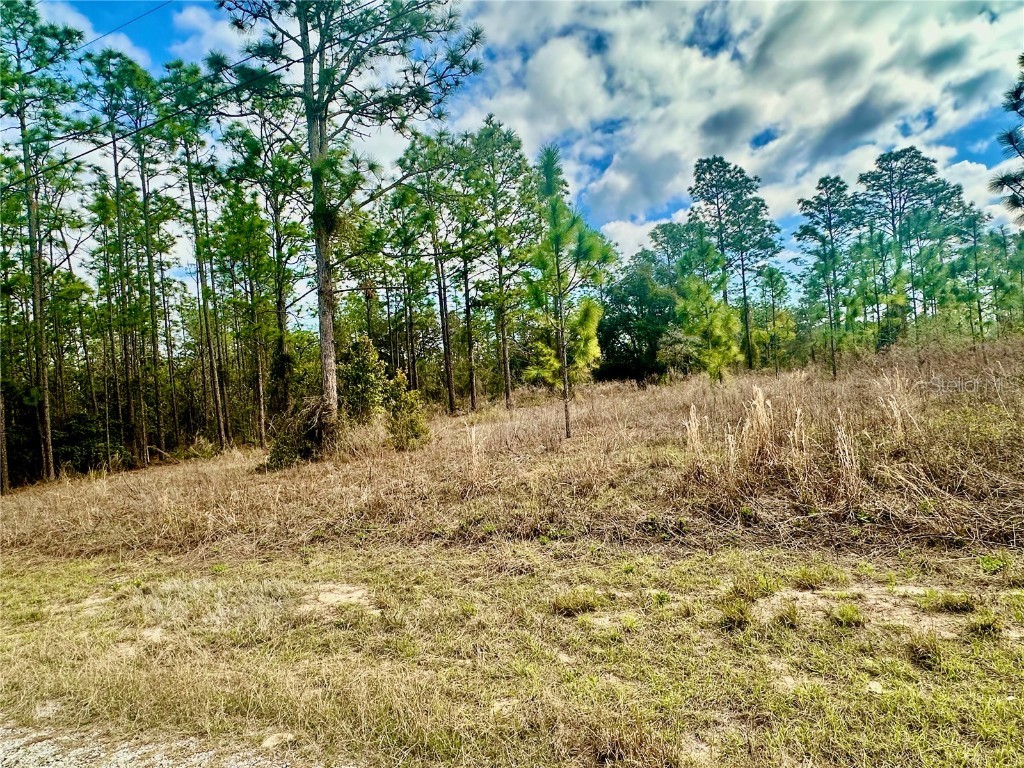 Lot 41 Se 131 Terrace Dunnellon FL 34431 O6285613 image1