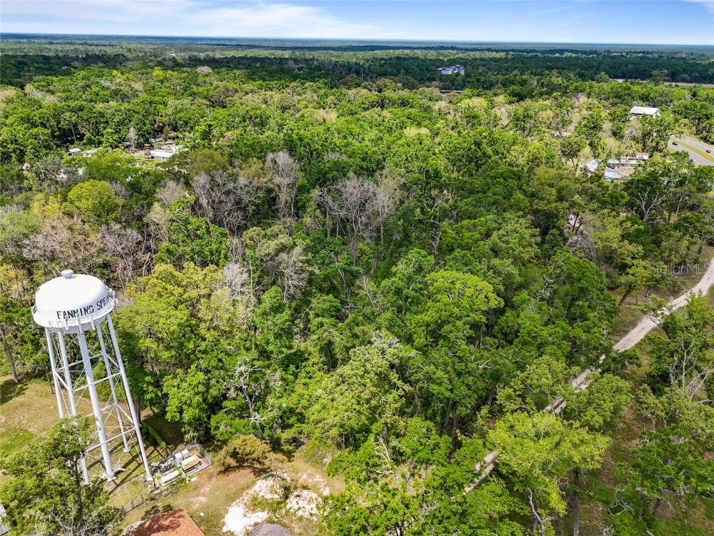Lot 48 90th Avenue Fanning Springs FL 32693 GC530029 image5