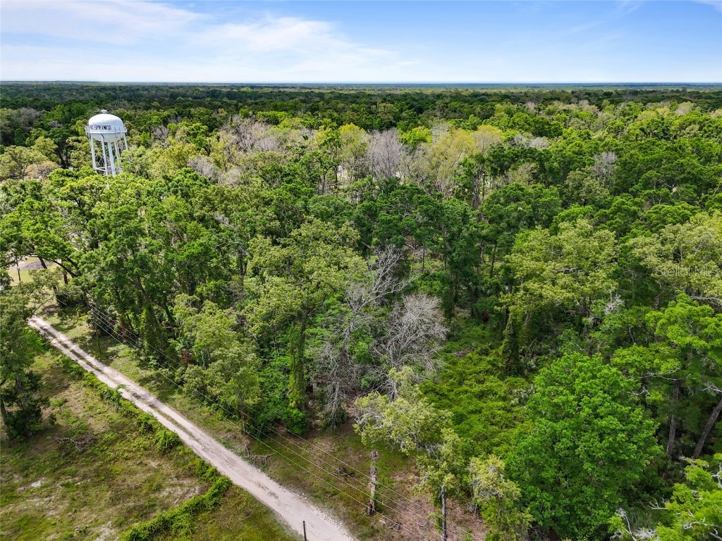 Lot 48 90th Avenue Fanning Springs FL 32693 GC530029 image6