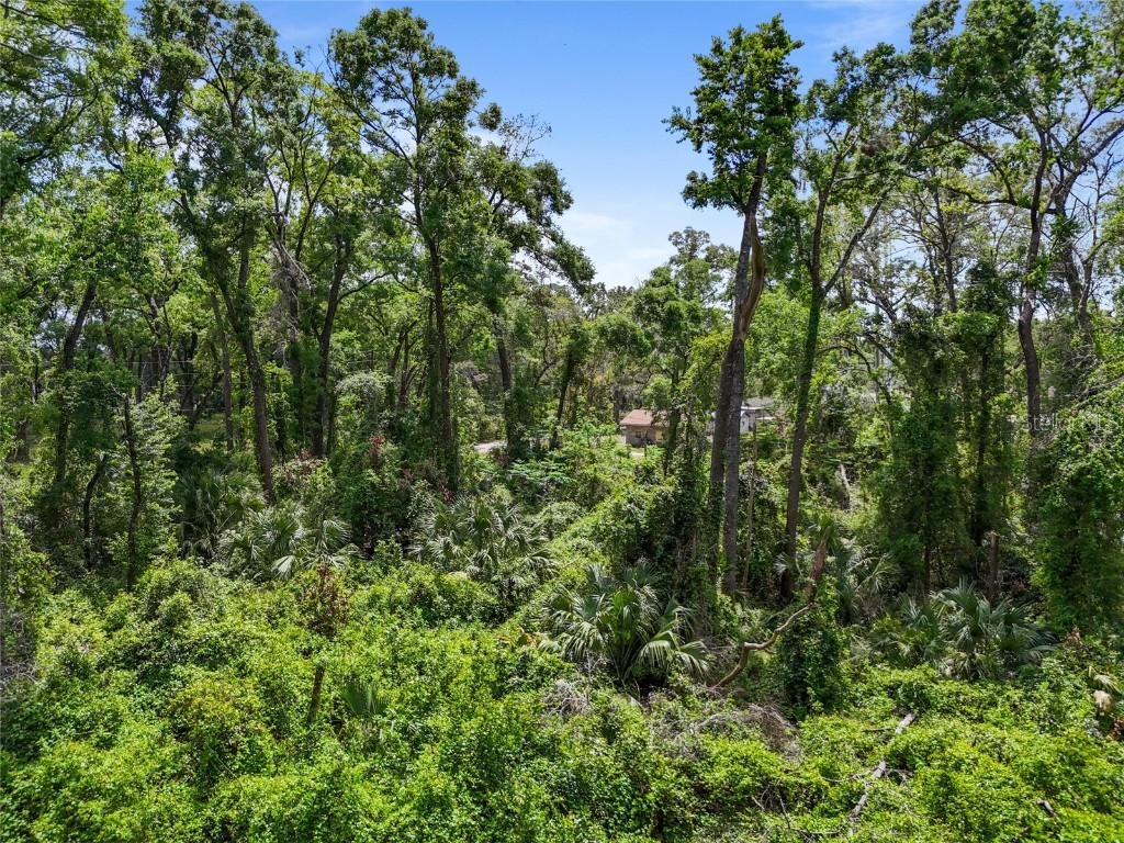 Lot 48 90th Avenue Fanning Springs FL 32693 GC530029 image7