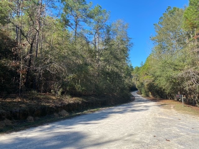 Lot 49 #O&P Defuniak Springs FL 32433 U8186139 image2