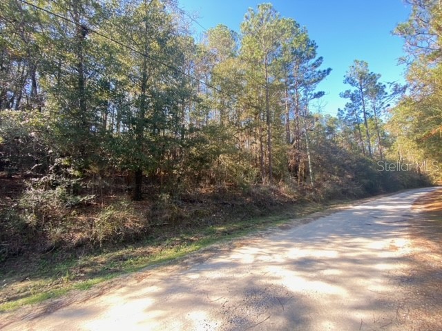 Lot 49 #O&P Defuniak Springs FL 32433 U8186139 image3