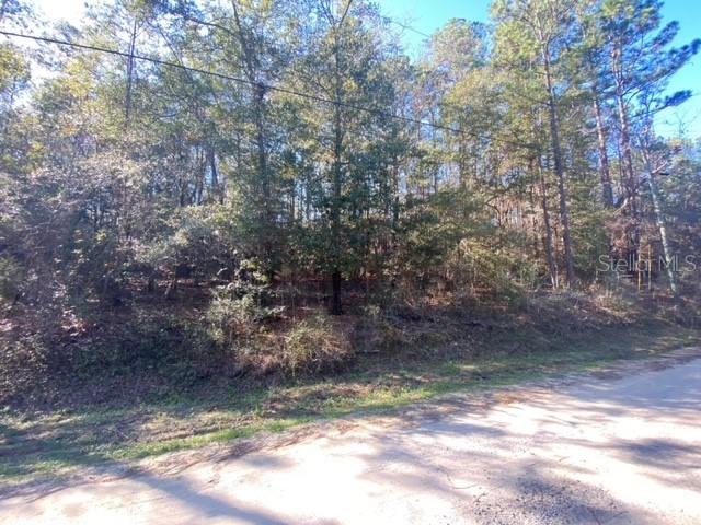 Lot 49 #O&P Defuniak Springs FL 32433 U8186139 image7