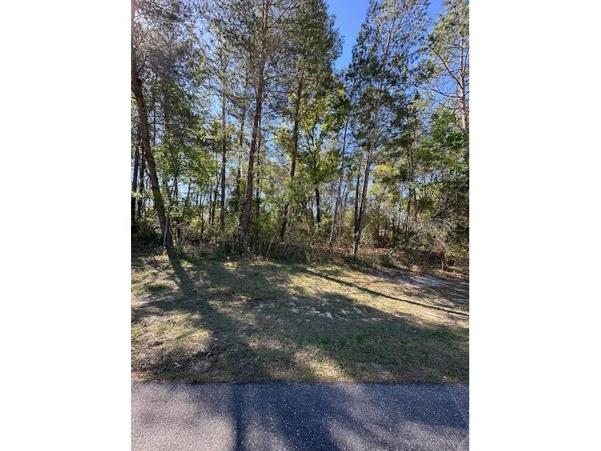 Lot 5 Sw 150th Place Ocala FL 34473 OM675080 image1