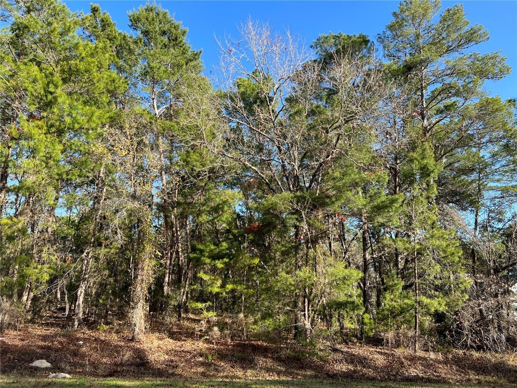 Lot 54 Wildwood FL 34785 G5051375 image1