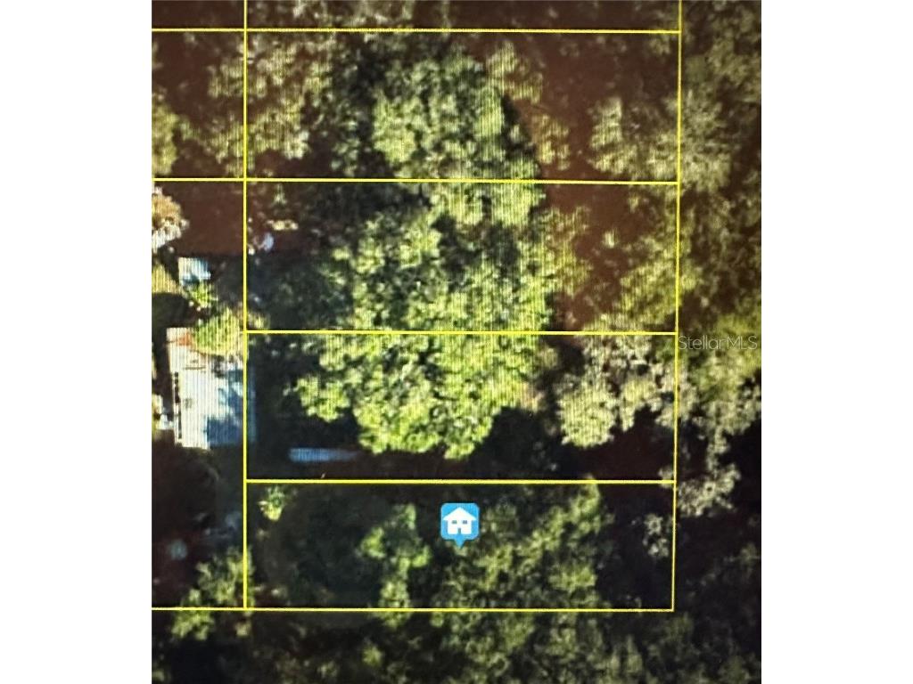 Lot #6 Lake Panasoffkee FL 33538 O6258055 image1