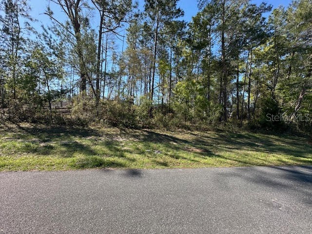 Lot 6 Sw 150th Place Ocala FL 34473 OM675078 image1