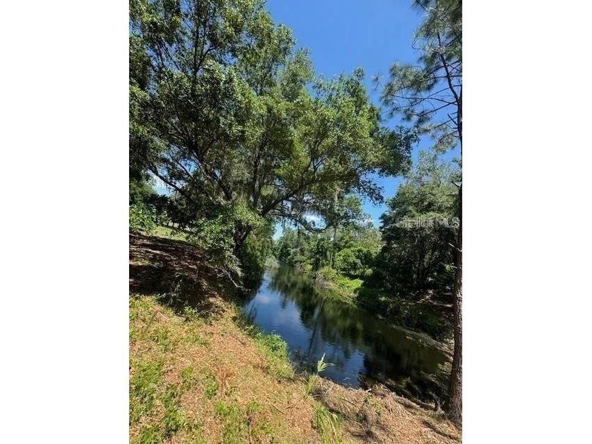 Lot 67 Grand Oak Lane Tavares FL 32778 - HARRIS CHAIN OF LAKES OM722362 image3