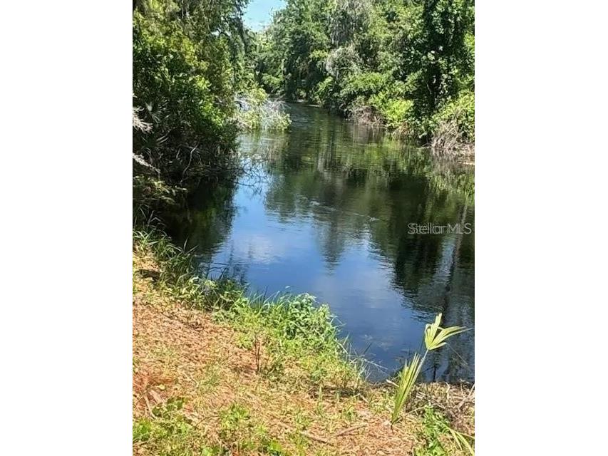 Lot 67 Grand Oak Lane Tavares FL 32778 - HARRIS CHAIN OF LAKES OM722362 image4