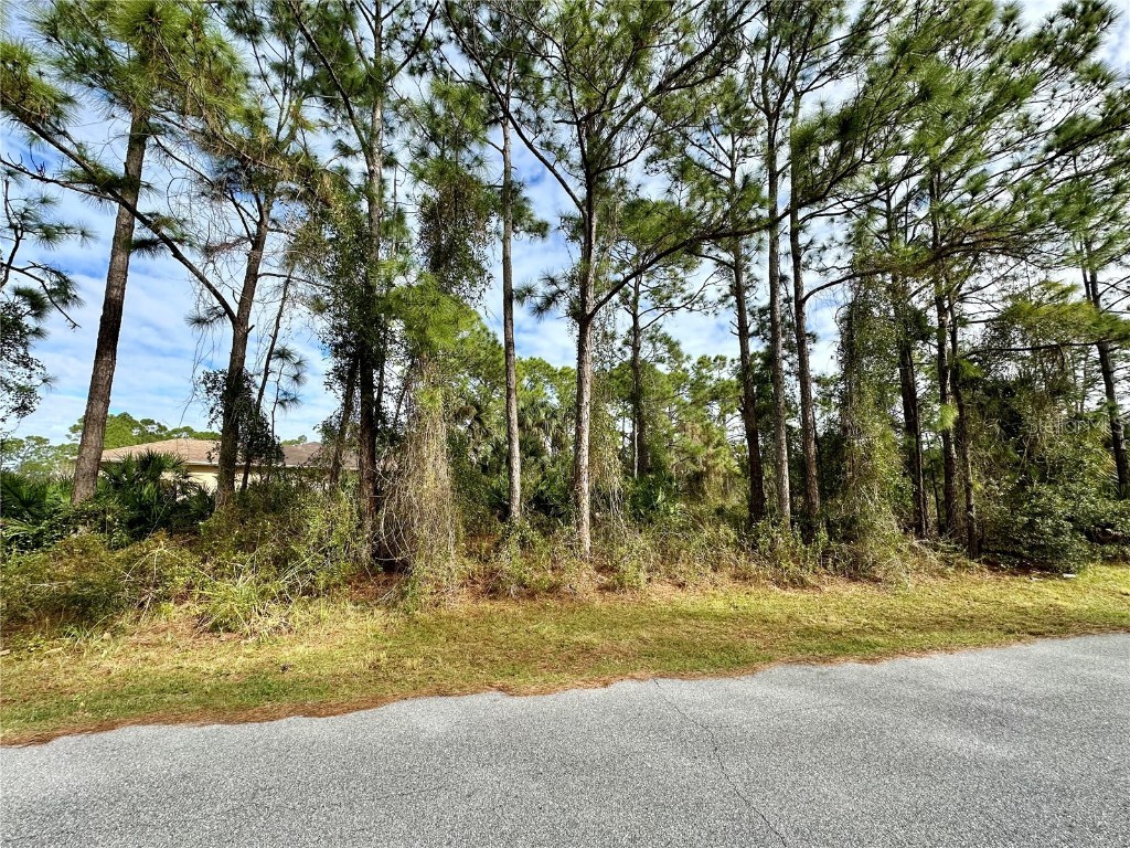 Lotus Road North Port FL 34291 A4599171 image1