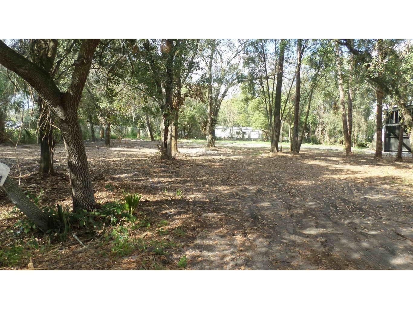 Lou Ann Avenue Riverview FL 33578 T3412056 image1