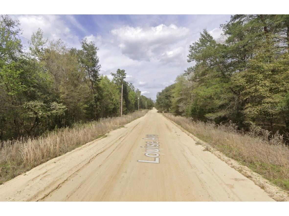 Louise Interlachen FL 32148 OK225019 image1