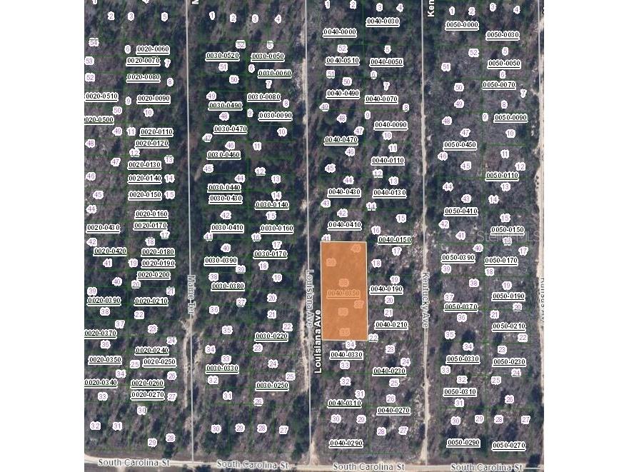 00 Louissiana Avenue Hawthorne FL 32640 OM641747 image2