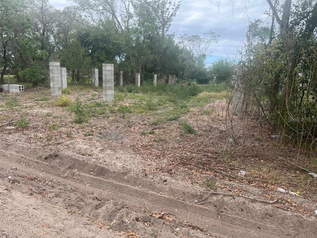 Lowry Avenue E Haines City FL 33844 S5082306 image1