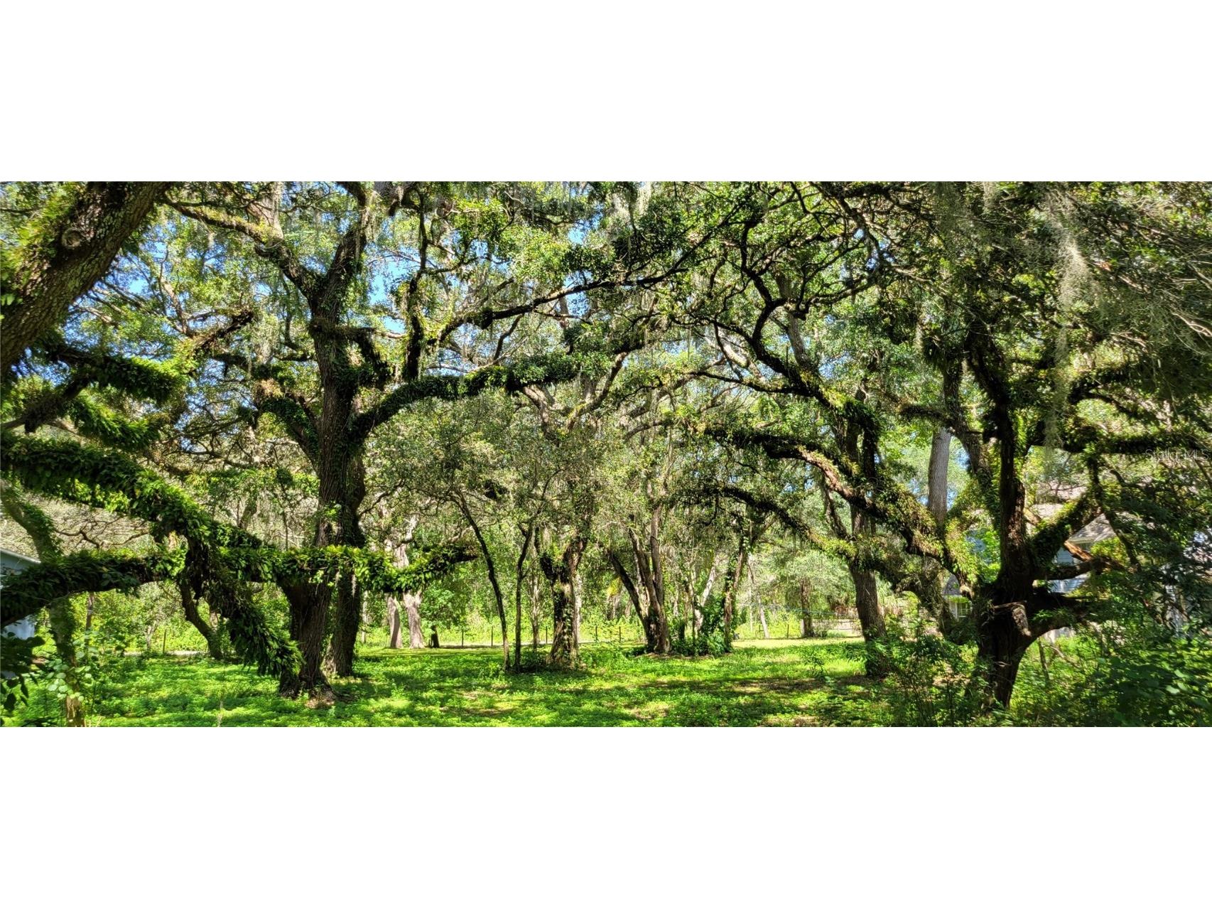 Lucille Drive Hudson FL 34669 W7857518 image1