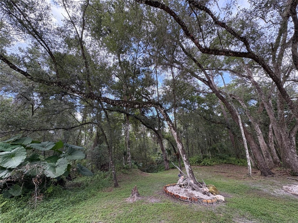 Lucilles Shady Lane Nobleton FL 34661 TB8424547 image11