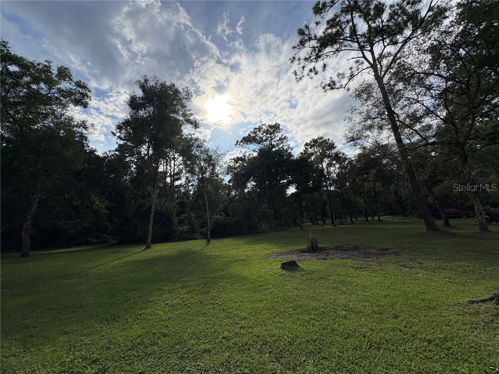 Lucilles Shady Lane Nobleton FL 34661 TB8424547 image12