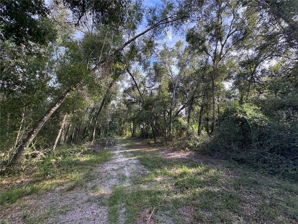 Lucilles Shady Lane Nobleton FL 34661 TB8424547 image15