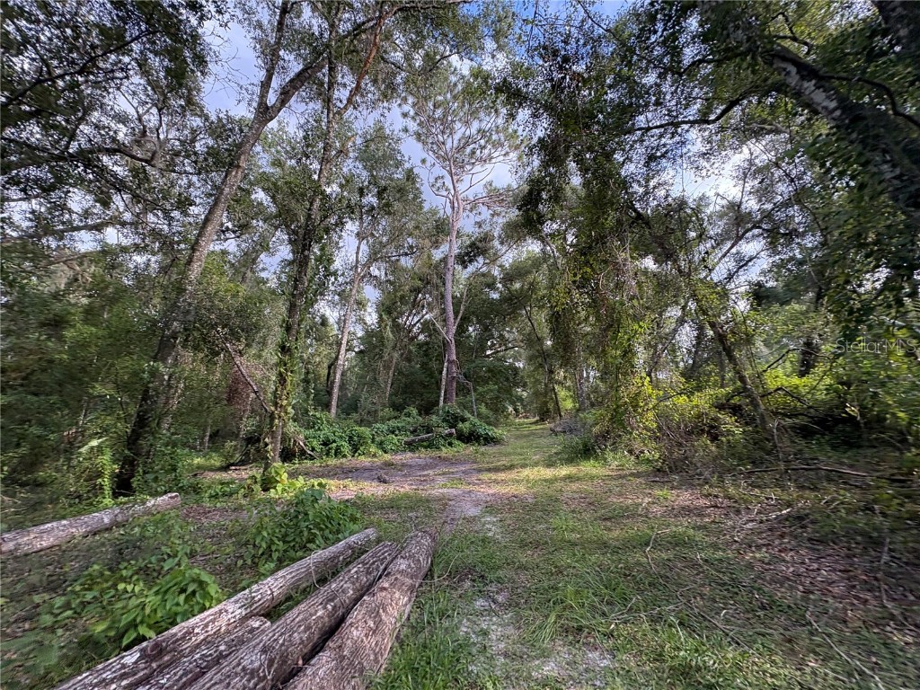 Lucilles Shady Lane Nobleton FL 34661 TB8424547 image16