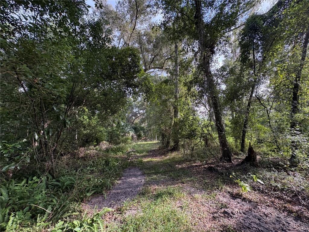 Lucilles Shady Lane Nobleton FL 34661 TB8424547 image17