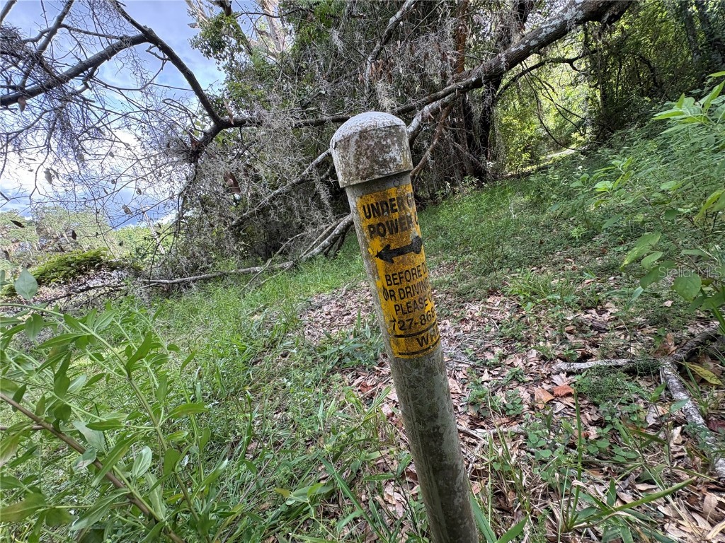 Lucilles Shady Lane Nobleton FL 34661 TB8424547 image21