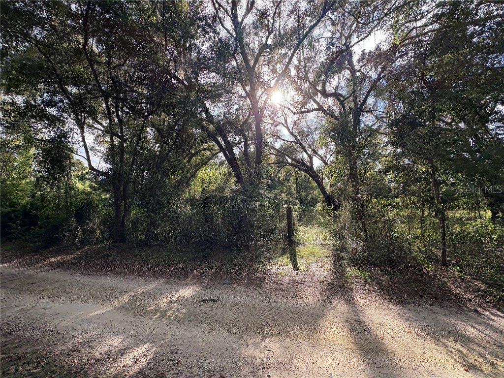 Lucilles Shady Lane Nobleton FL 34661 TB8424547 image23