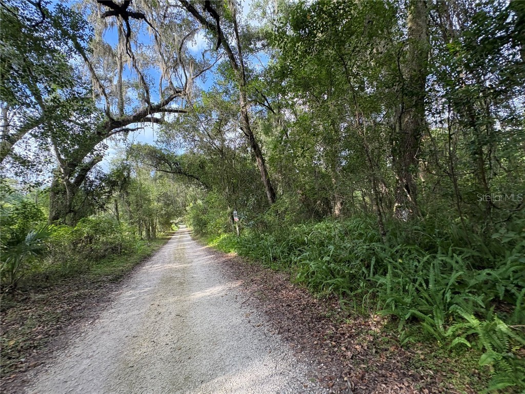 Lucilles Shady Lane Nobleton FL 34661 TB8424547 image25