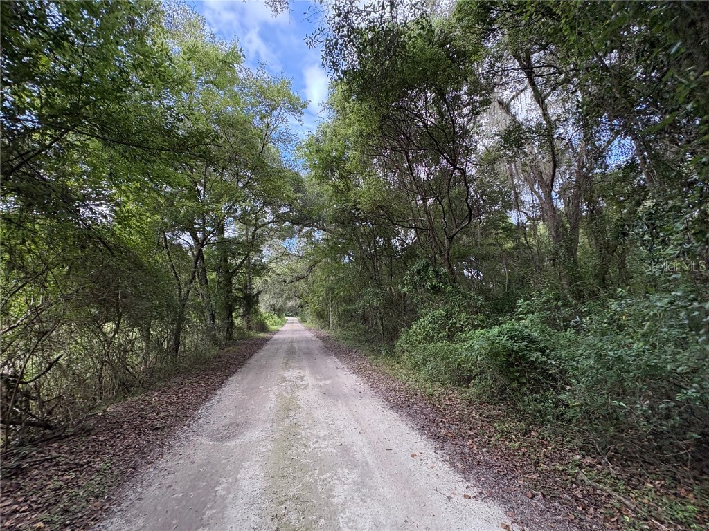 Lucilles Shady Lane Nobleton FL 34661 TB8424547 image27