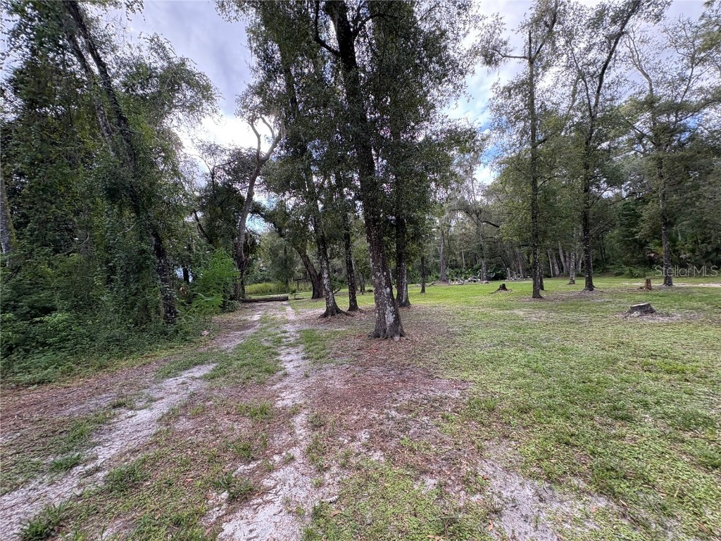 Lucilles Shady Lane Nobleton FL 34661 TB8424547 image31
