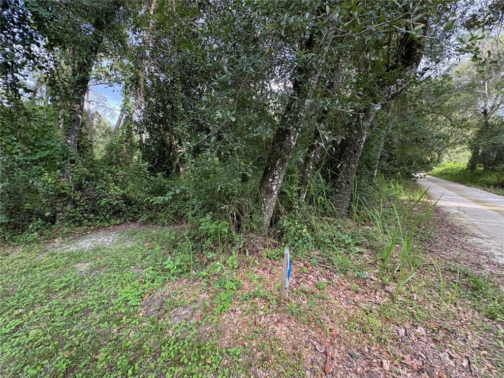 Lucilles Shady Lane Nobleton FL 34661 TB8424547 image32