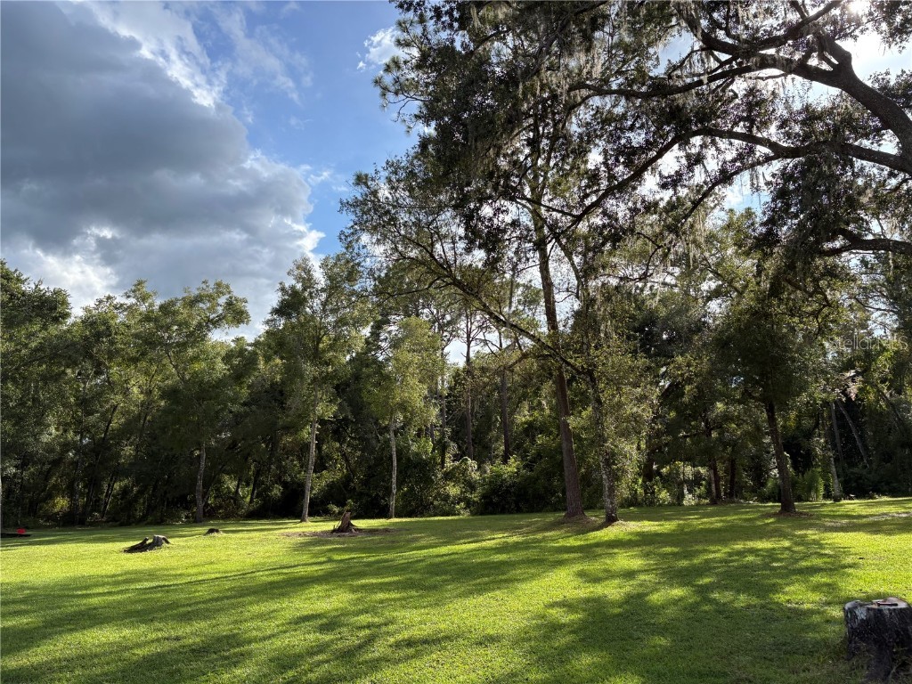 Lucilles Shady Lane Nobleton FL 34661 TB8424547 image4